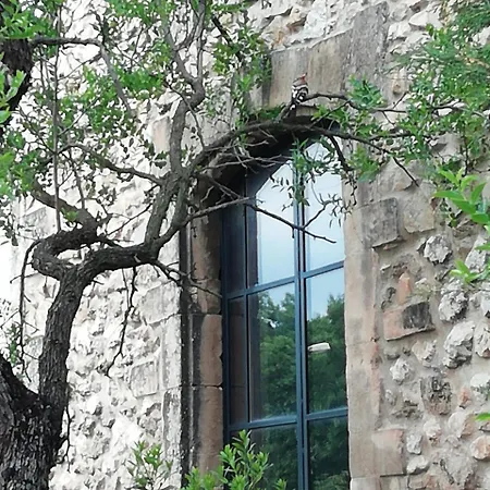 Mas Des Artistes Bed & Breakfast Mouries